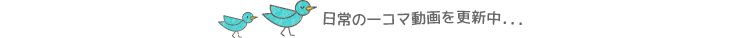 日常の一コマ動画を更新中・・・